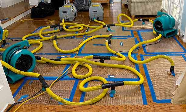 Professional Crawl Space Water Removal technician working in Castle Rock, WA